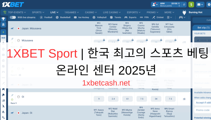 1XBET Sport | 한국 최고의 스포츠 베팅 온라인 센터 2025년